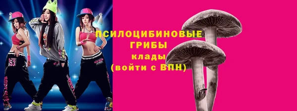 эйфоретик Верея