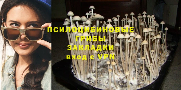 эйфоретик Верея