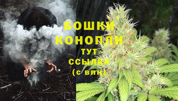эйфоретик Верея