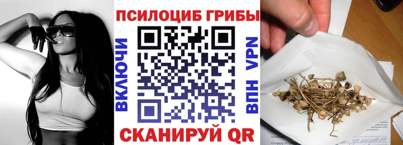 купить закладку shop телеграм Галлюциногенные грибы прущие грибы Петропавловск-Камчатский